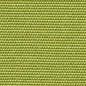 Pistachio