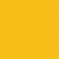 Sunflower Yellow